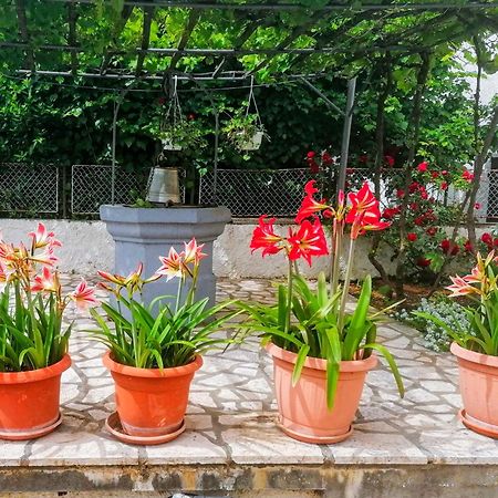 Apartman Lavanda Sa Bazenom I Okucnicom 4* Hreljin Exterior photo