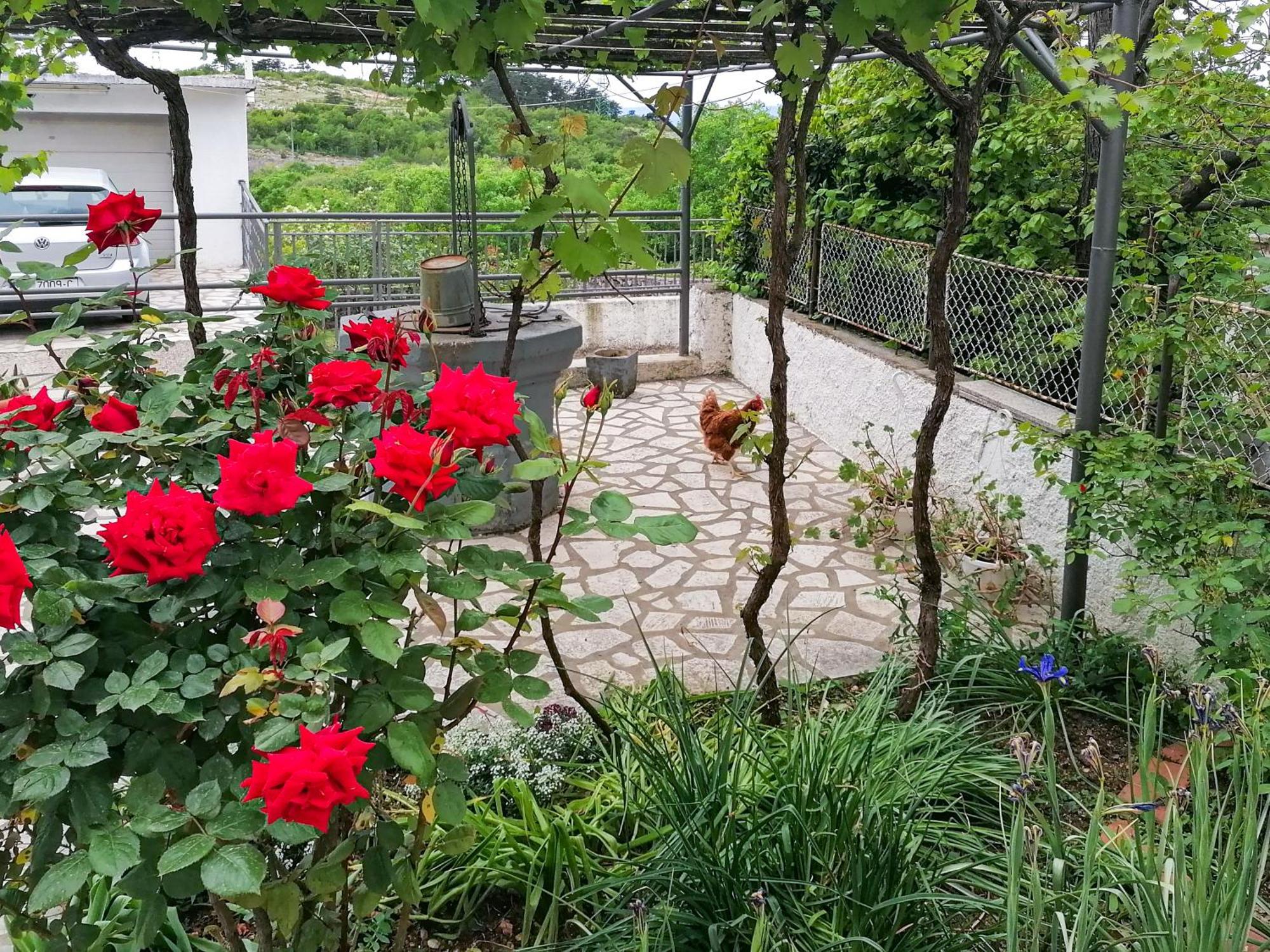 Apartman Lavanda Sa Bazenom I Okucnicom 4* Hreljin Exterior photo