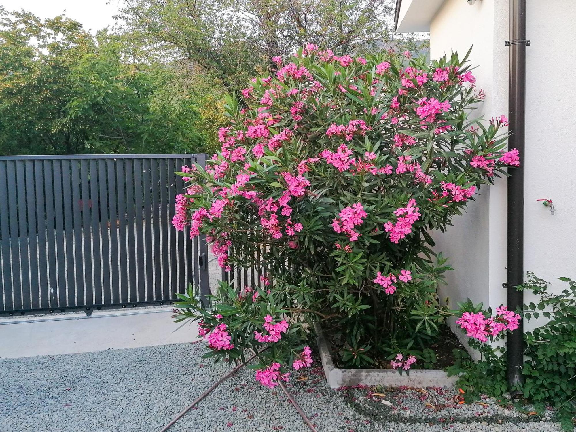 Apartman Lavanda Sa Bazenom I Okucnicom 4* Hreljin Exterior photo