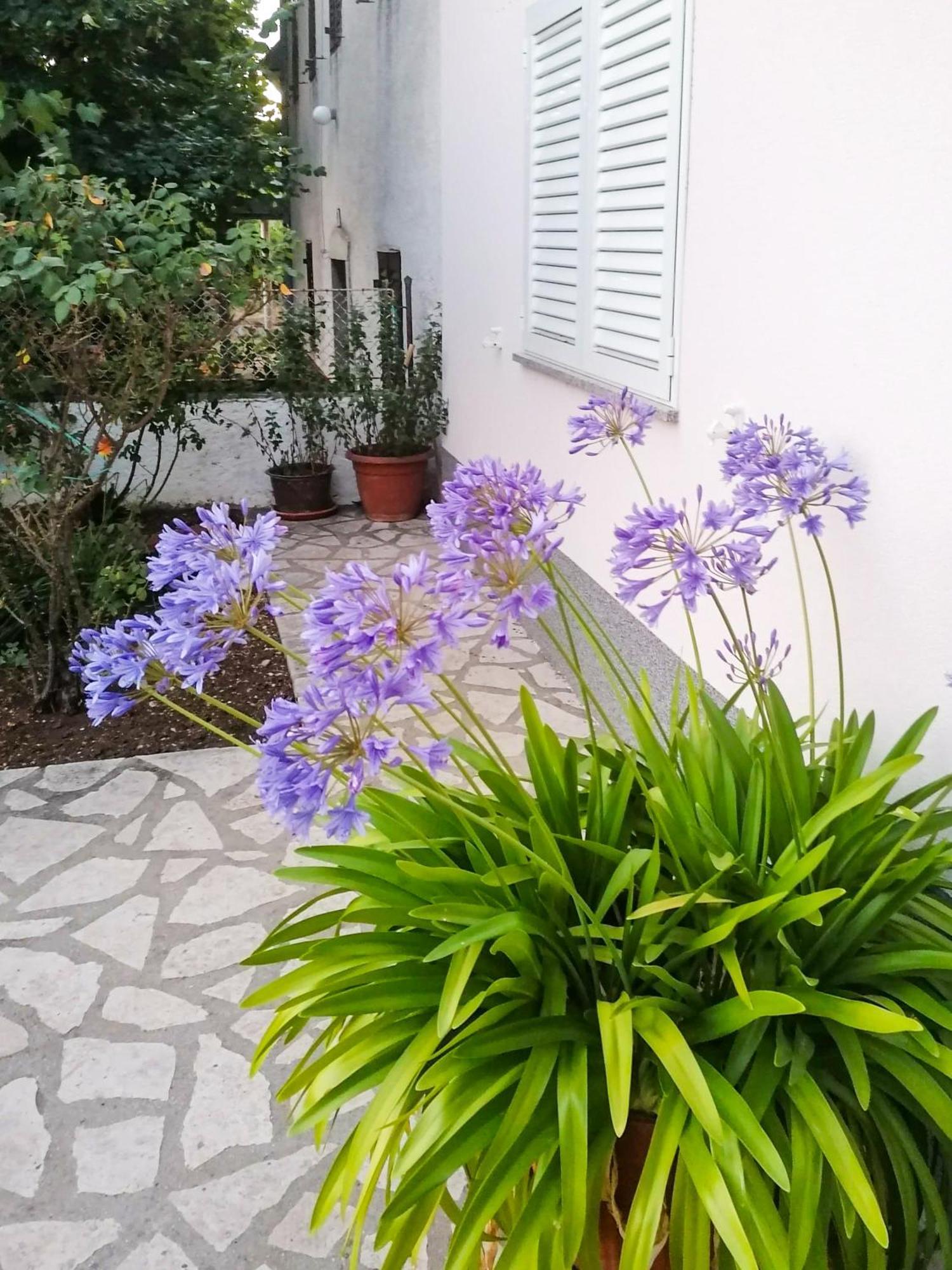 Apartman Lavanda Sa Bazenom I Okucnicom 4* Hreljin Exterior photo